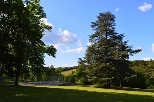 Château de Lacomté