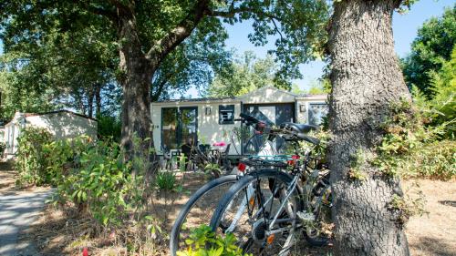 Camping Tikayan Domaine du Golfe de ...