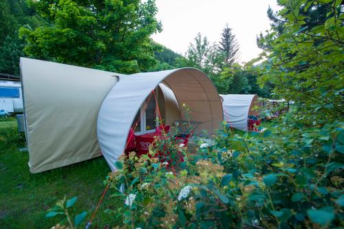 Camping Tunnel International