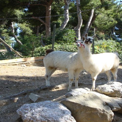 Camping MARINA PLAGE