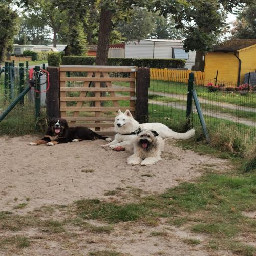 Camping De Schuur