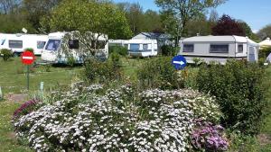 Image of Flower Le Domaine du Rompval