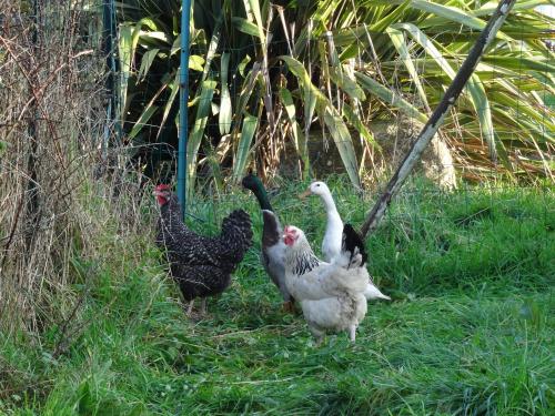 Camping Les Peupliers