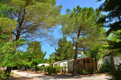 Camping Sainte-Victoire