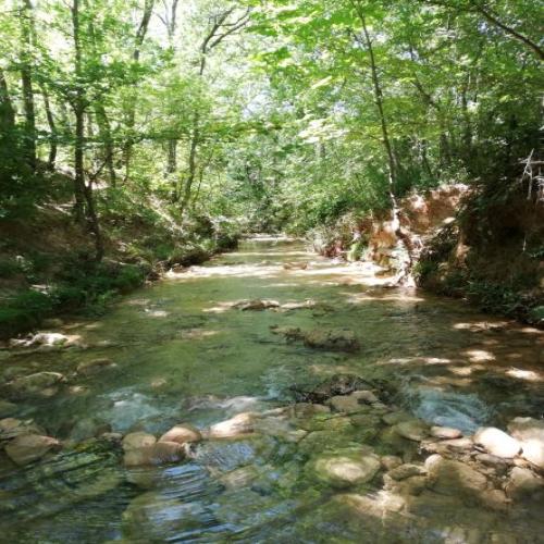 Camping Sainte-Victoire