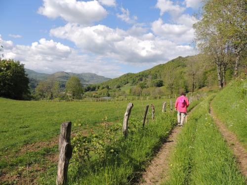 Camping LA POMMERAIE