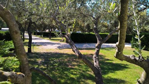 Camping des Favards