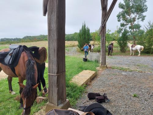 Camping Sileo (ex l'Anjou)