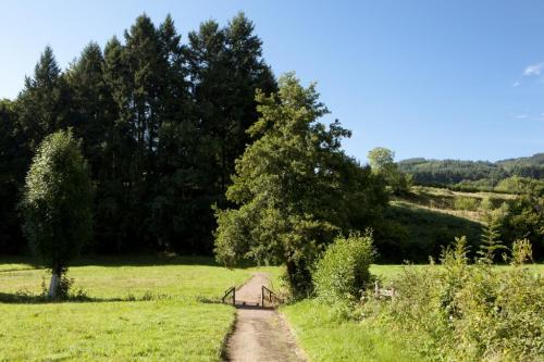 Camping de Matour