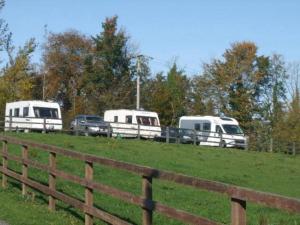 Image of Tree Grove Caravan and Camping