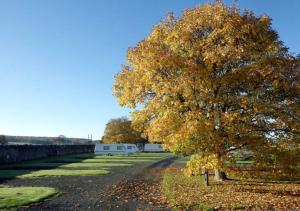 Image of Thirlestane Castle Caravan&Camping P...