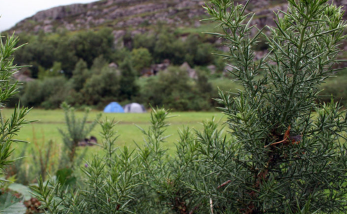 Torridon Camp Site