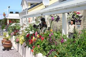 Image of Mannix Point Camping and Caravan Par...