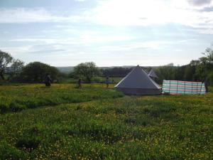 Bakesdown Farm