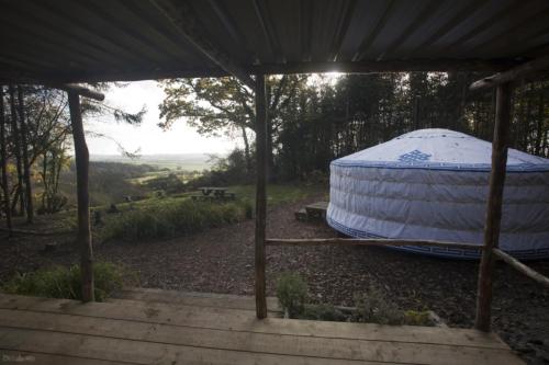Barefoot Yurts