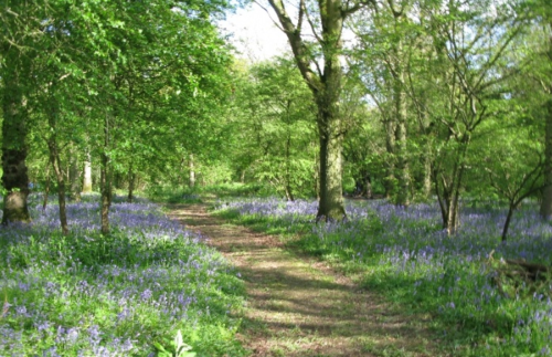 Blacklands Farm