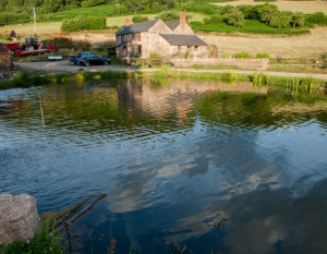 Broadstone Fisheries