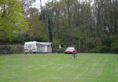 Cedar Gables Camping