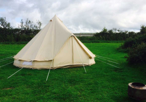 Cheddar Petruth Paddocks