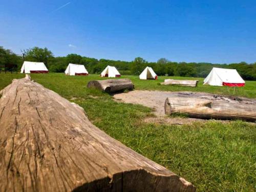 Debden House Camp Site