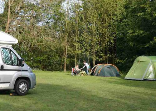 Dogwood Camping