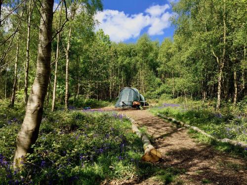Beech Estate Campsite