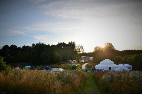 Far Peak Campsite