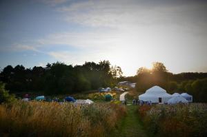 Far Peak Campsite