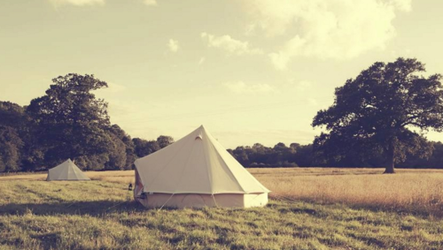 Freedom Camping