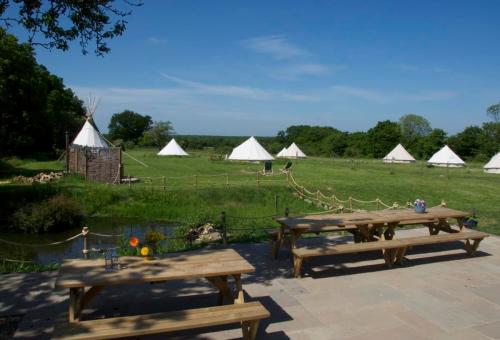 Gooseberry Field Campsite