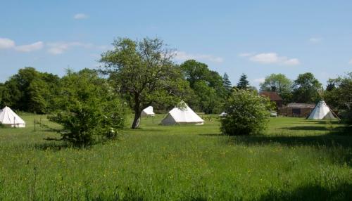 Gooseberry Field Campsite