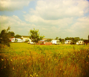 New Farm
