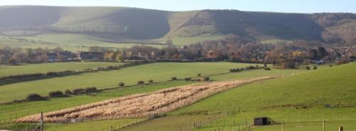 Spring Barn Farm