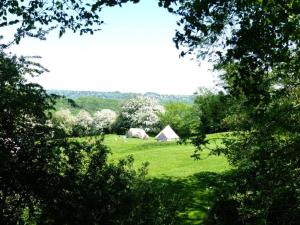 Thistledown Farm