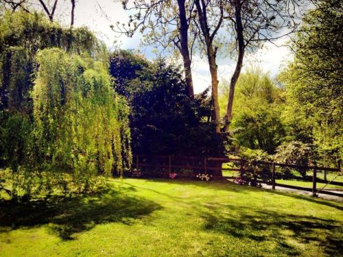 Thriftwood Holiday Park