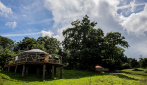 Walcot Hall Caravan Park