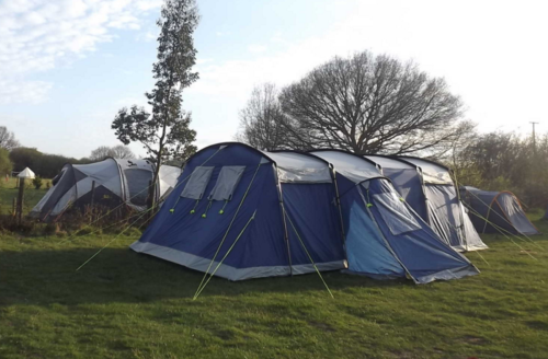 Welsummer Camping