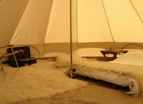 Welsummer Camping