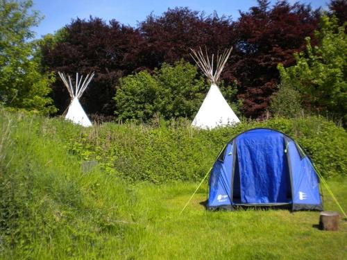 Wetherdown Lodge and Camping
