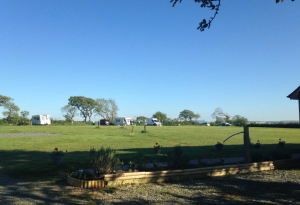 Image of Cardigan Caravan & Camping Site