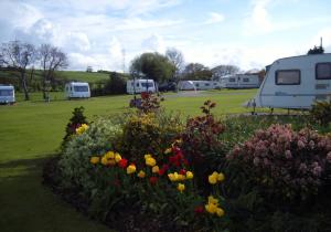 Image of Roberts Caravan Park