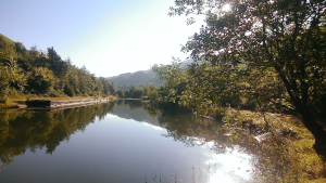 Glyncorrwg Ponds