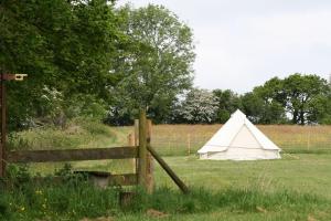 Image of Go Wild Adventures