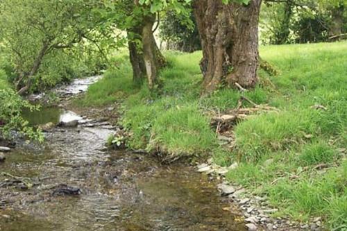Rhydhowell Farm