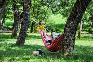 Image of Camping L'Ombrage