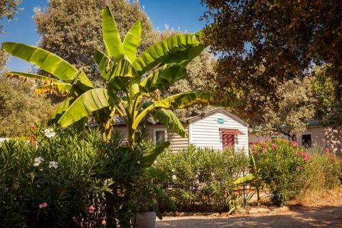 Camping Domaine de Gajan