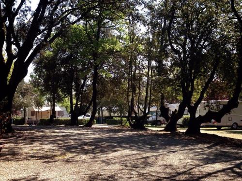 Camping Boschetto di Piemma