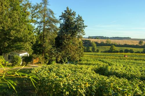 Domaine Aramis