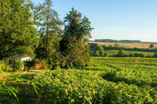 Domaine Aramis