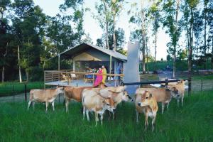 Image of AfriCamps at Oakhurst